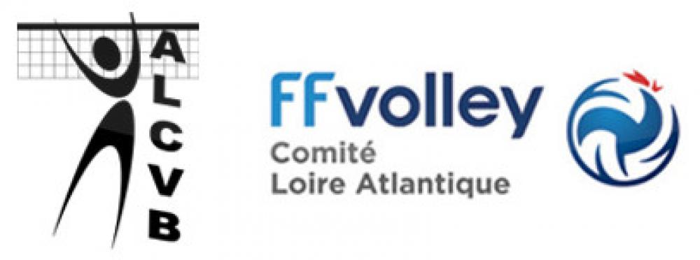 Logo Sèvre & Loire Volley Ball